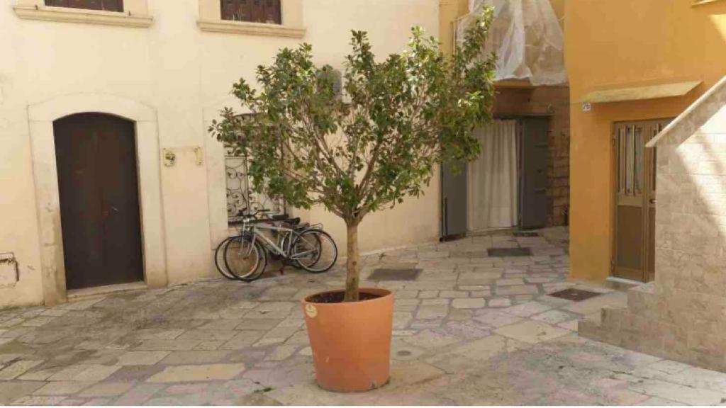 Corte32 Bari Exterior photo